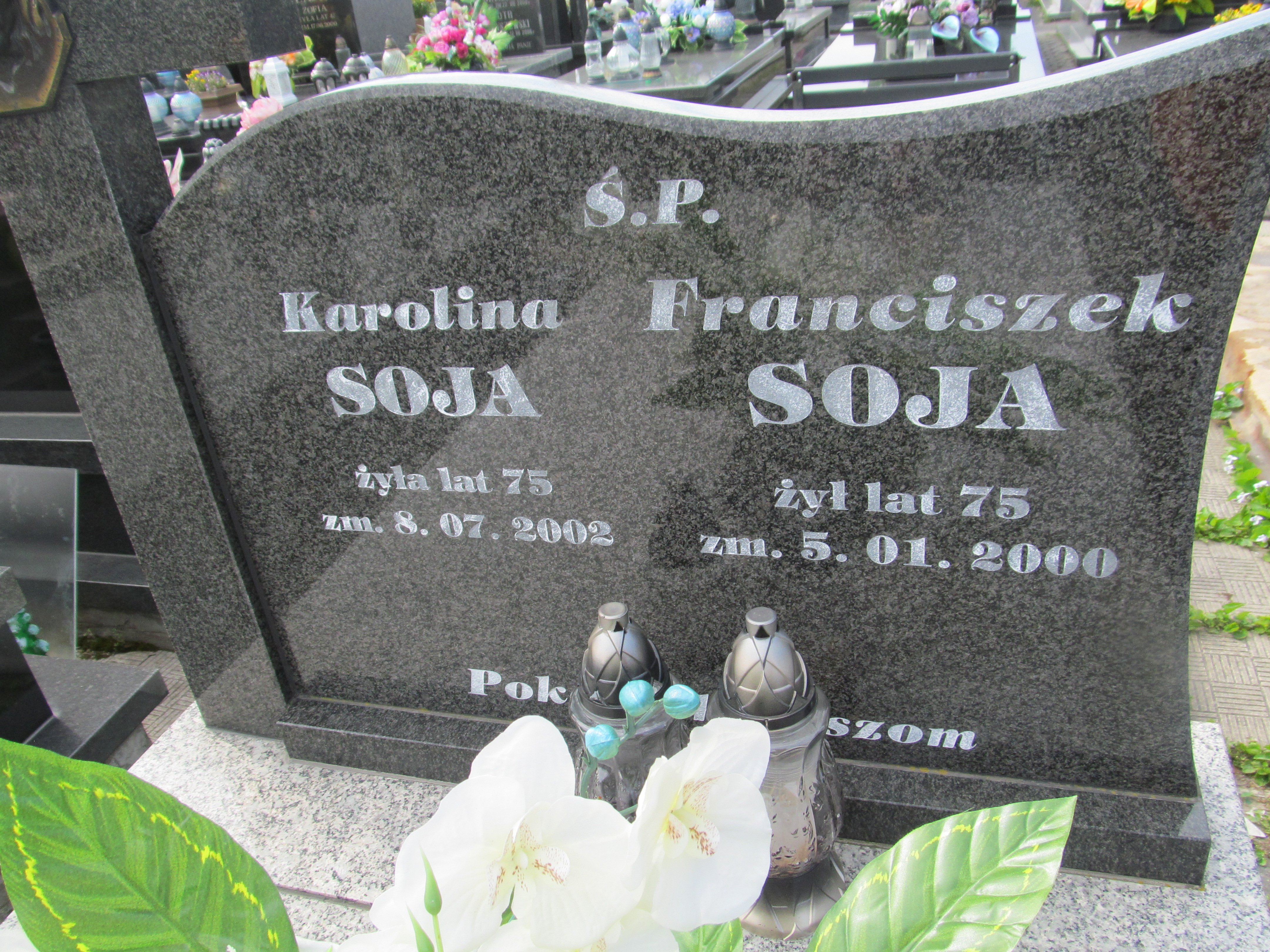 Karolina Soja 1927 Biłgoraj - Grobonet - Wyszukiwarka osób pochowanych