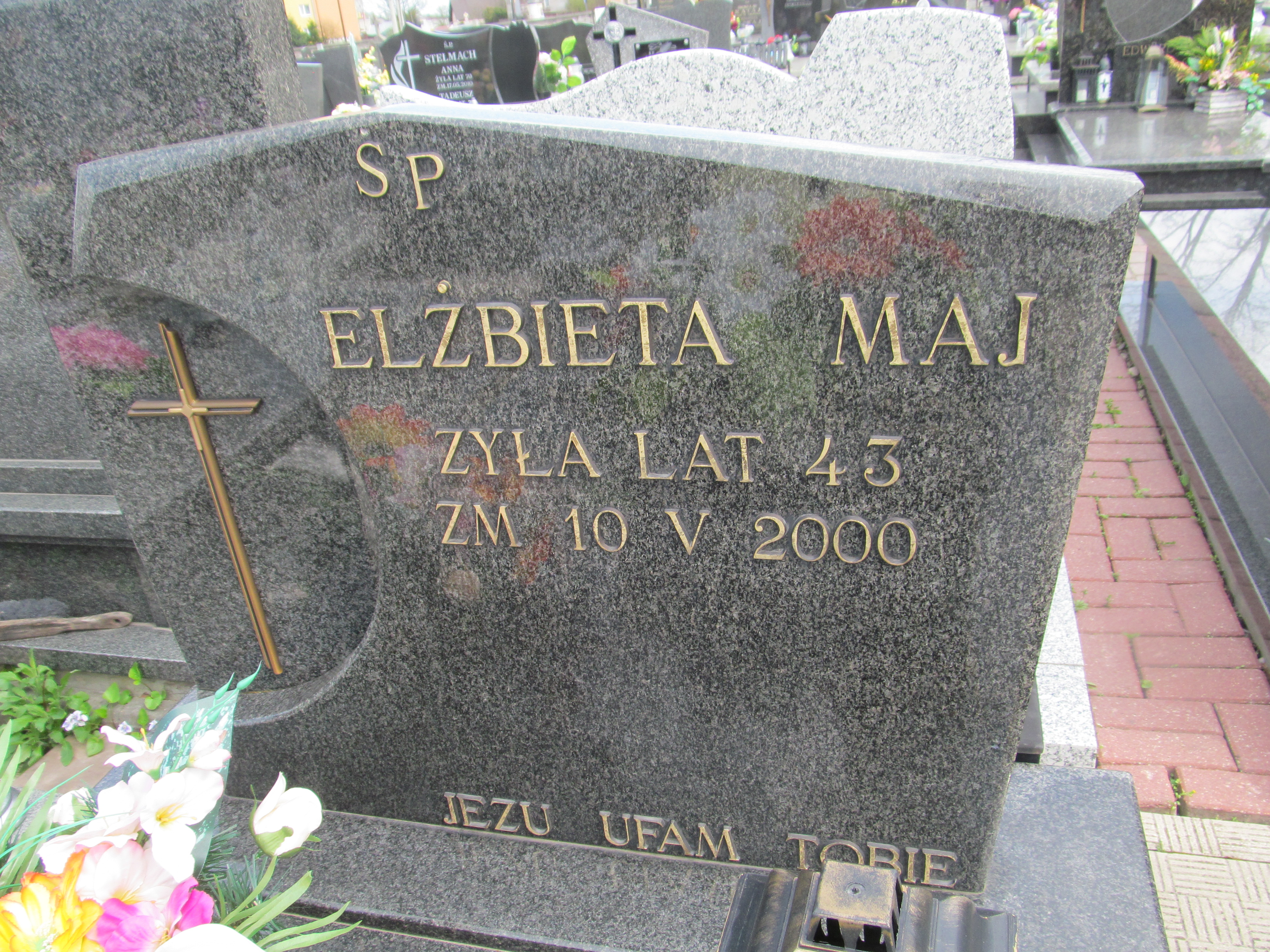 Kazimierz Maj 1952 Biłgoraj - Grobonet - Wyszukiwarka osób pochowanych