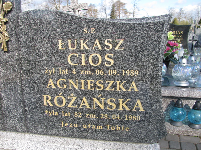 Julia Różańska 1925 Biłgoraj - Grobonet - Wyszukiwarka osób pochowanych