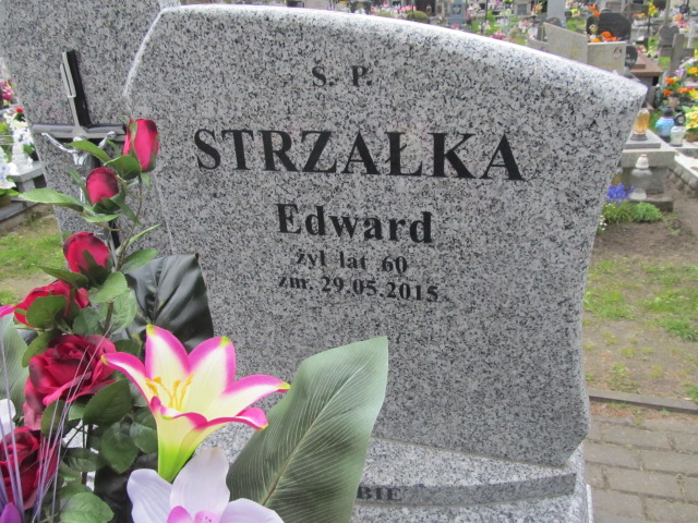 Edward Strzałka Biłgoraj - Grobonet - Wyszukiwarka osób pochowanych