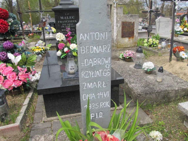 Józef Bednarz 1938 Biłgoraj - Grobonet - Wyszukiwarka osób pochowanych