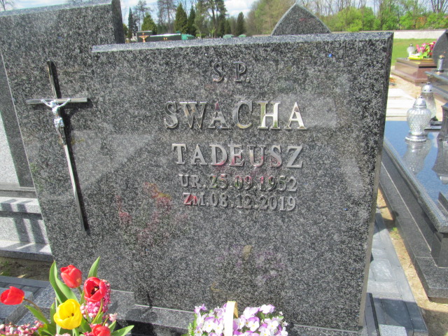 Grób Tadeusz Swacha